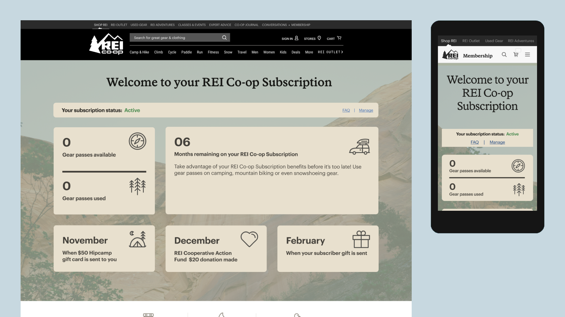 REI Customer Innovation: Membership Subscription